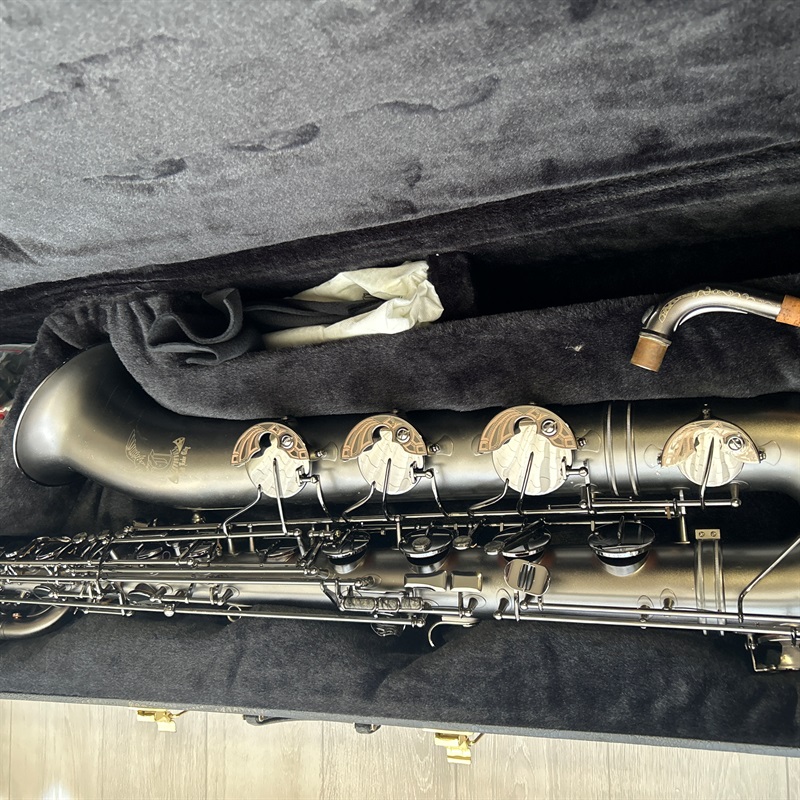 Cannonball B5-BiceB RAVENの画像